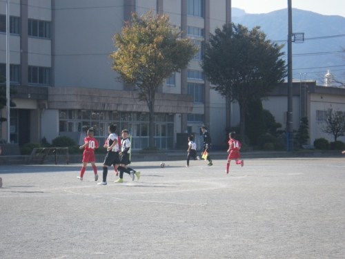 IMGP0060.jpg