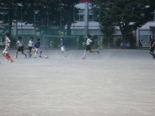 IMGP0060.jpg
