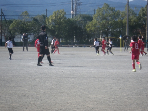 IMGP0063.jpg