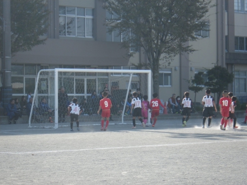 IMGP0064.jpg