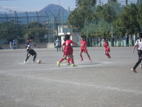 IMGP0065.jpg