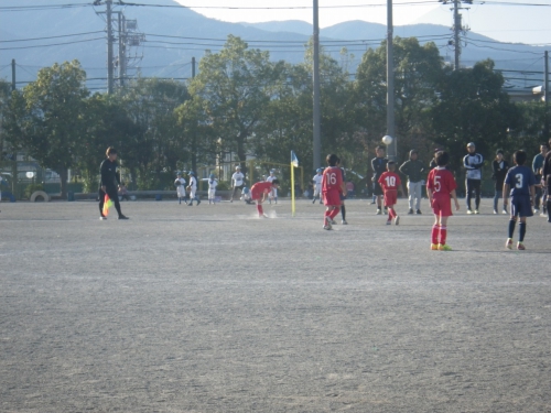 IMGP0074.jpg