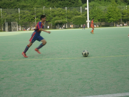 IMGP0308.jpg