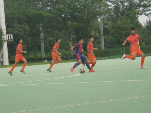IMGP0315.jpg