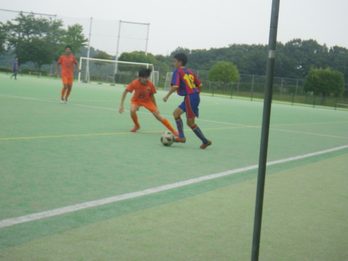 IMGP0319.jpg
