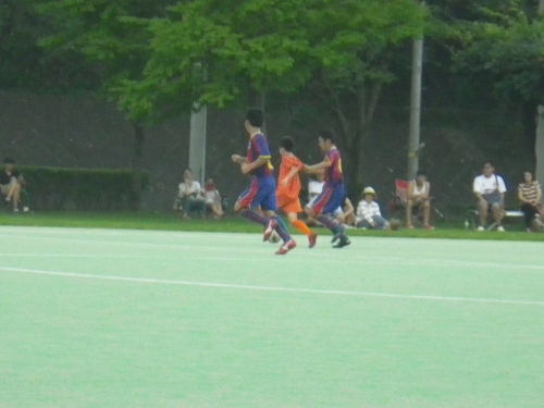 IMGP0324.jpg
