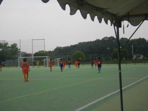 IMGP0329.jpg