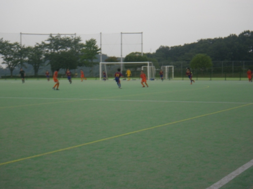 IMGP0330.jpg