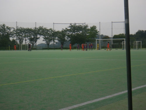 IMGP0333.jpg