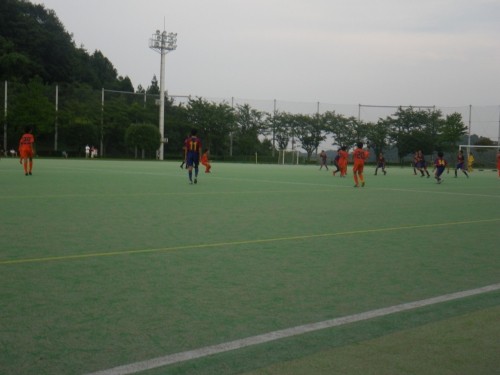 IMGP0335.jpg