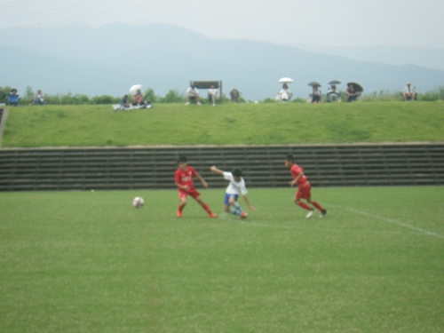 IMGP0460.jpg