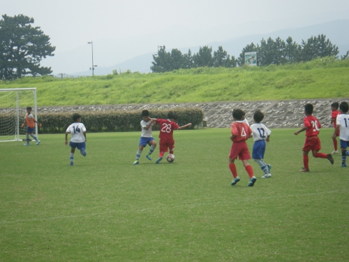 IMGP0478.jpg