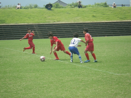 IMGP0480.jpg