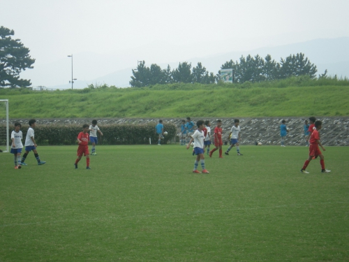 IMGP0484.jpg