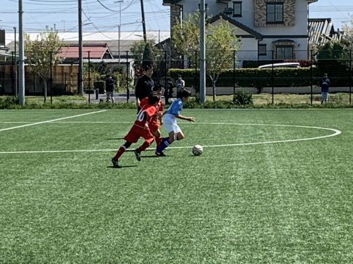 IMG_0455.jpg