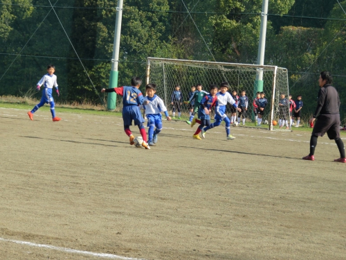 IMG_1038_1600.jpg