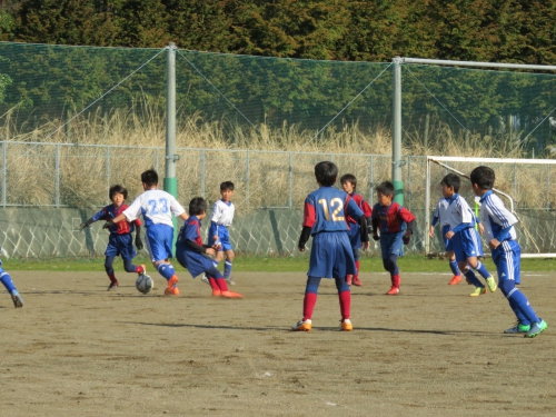 IMG_1040_1600.jpg
