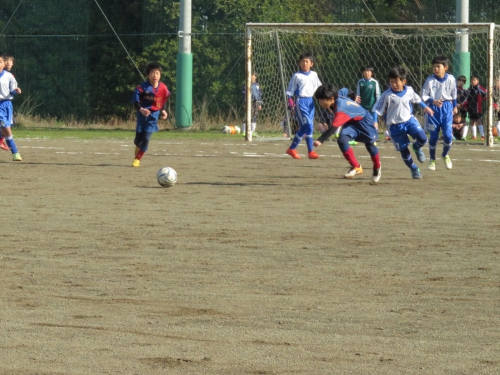 IMG_1041_1600.jpg
