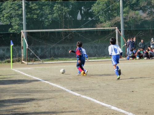 IMG_1060_1600.jpg