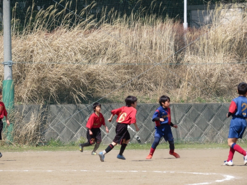 IMG_1081_1600.jpg