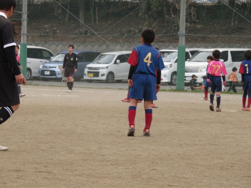 IMG_1100_1600.jpg