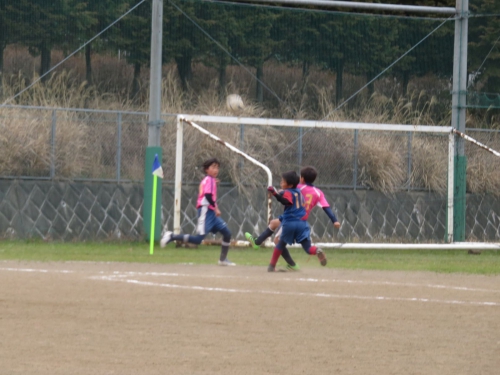 IMG_1112_1600.jpg