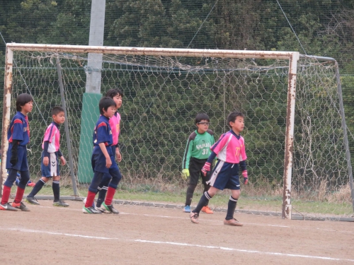 IMG_1117_1600.jpg