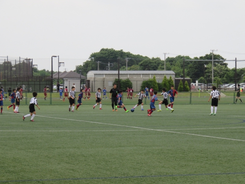 IMG_2385.JPG