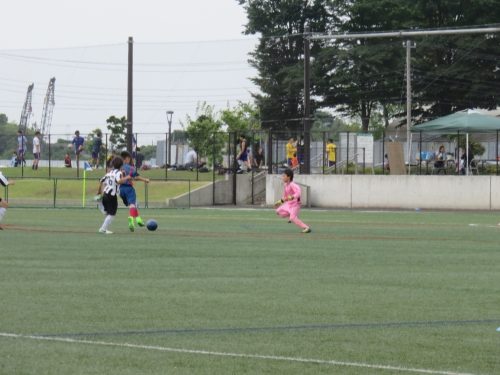 IMG_2388.JPG