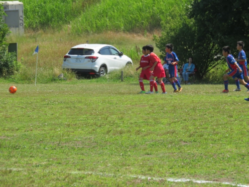 IMG_3318_1600.jpg
