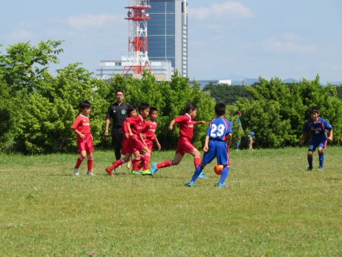 IMG_3323_1600.jpg