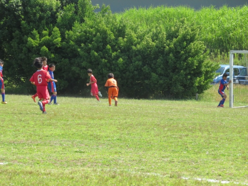 IMG_3325_1600.jpg