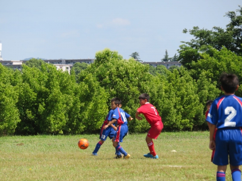 IMG_3331_1600.jpg