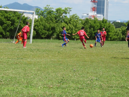 IMG_3334_1600.jpg