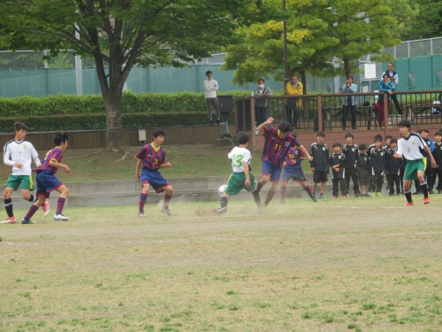 IMG_3341_1600_1600.jpg