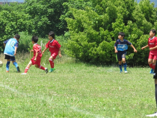 IMG_3342_1600.jpg