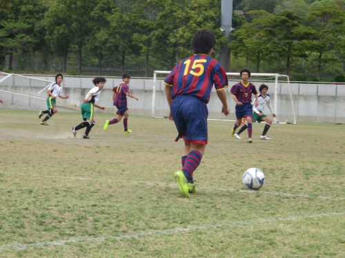 IMG_3346_1600_1600.jpg