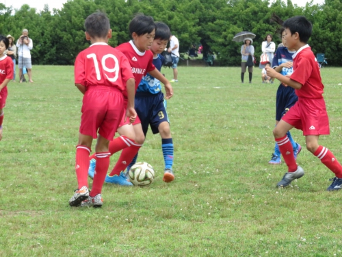 IMG_3354_1600.jpg
