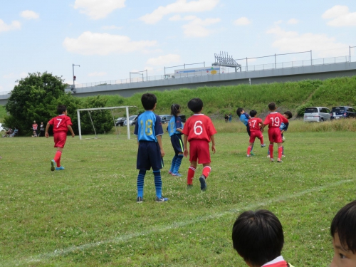 IMG_3355_1600.jpg