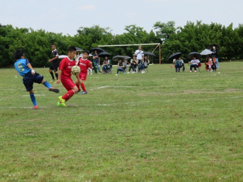 IMG_3356_1600.jpg