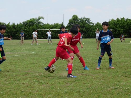 IMG_3357_1600.jpg
