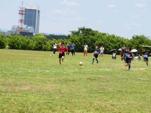 IMG_3362_1600.jpg