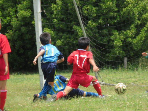 IMG_3364_1600.jpg