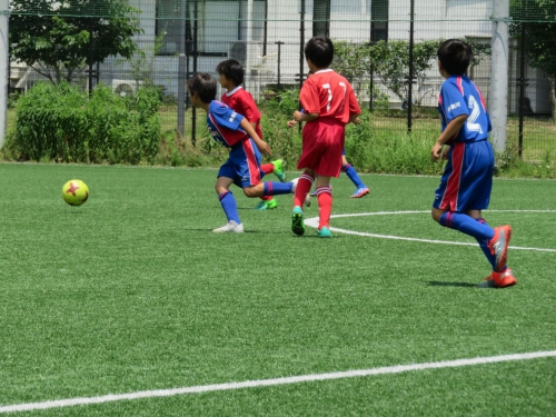 IMG_3370_1600.jpg