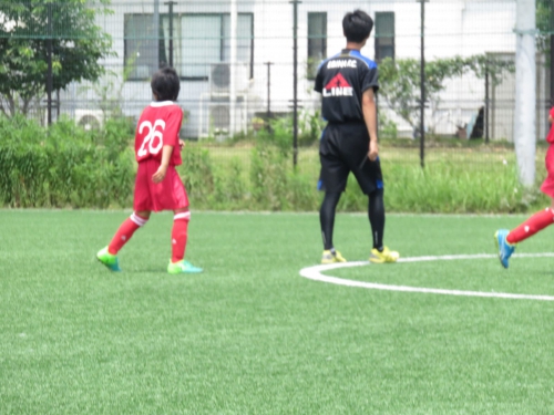 IMG_3372_1600.jpg