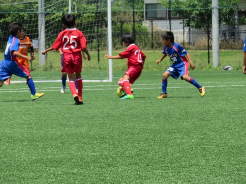 IMG_3374_1600.jpg
