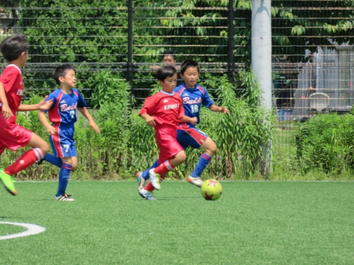 IMG_3379_1600.jpg