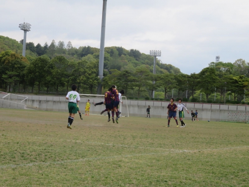 IMG_3420_1600_1600.jpg
