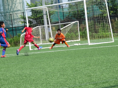 IMG_3424_1600.jpg
