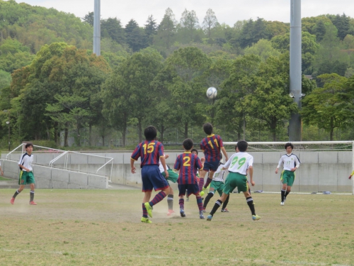 IMG_3425_1600_1600.jpg
